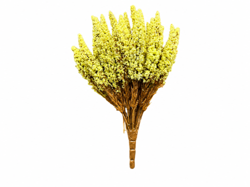 ChatGPT Image 15 lip 2026, 10_44_53.png