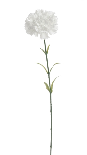 68f8cea8d82c7.jpg