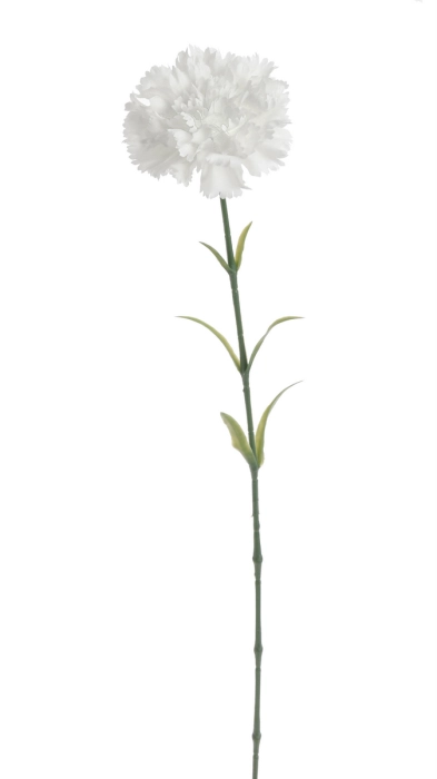 68f8cea8d82c7.jpg