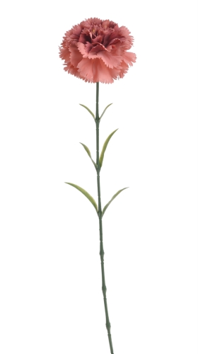 68f8d08ae4965.jpg