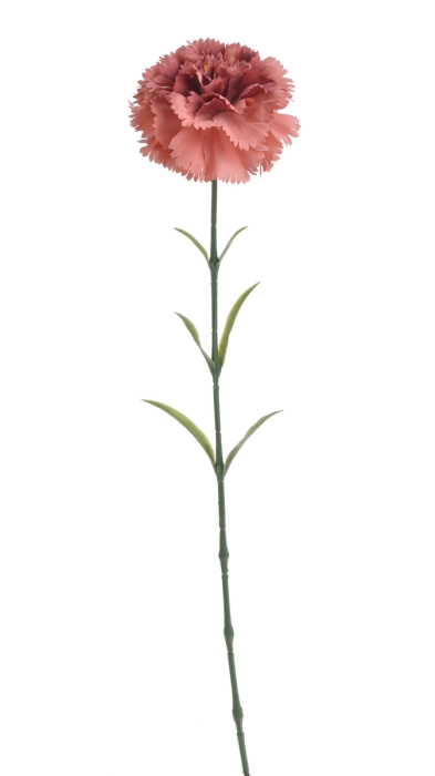 68f8d08ae4965.jpg