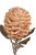 68b6acea878cb.jpg