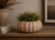 ChatGPT Image 17 lip 2026, 09_07_20.png