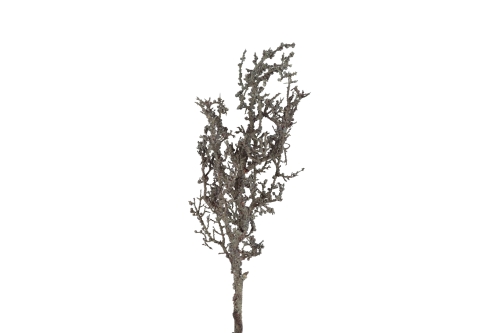 824913.jpg