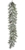 313CAN1879-W55.jpg