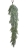 6a97da60036d7.jpg